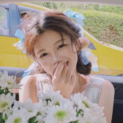 掟上今日子的备忘录 在线观看
